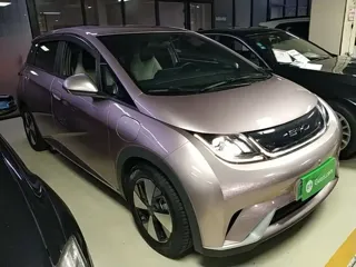 BYD Dolphin 2023 купить из Китая, цена 1 374 000 ₽ — Suifenhe Auto
