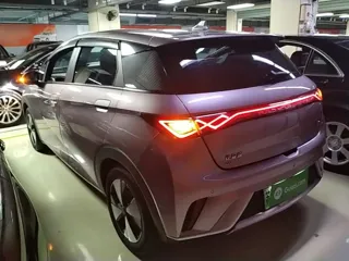 BYD Dolphin 2023 купить из Китая, цена 1 374 000 ₽ — Suifenhe Auto