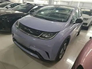 BYD Dolphin 2024 купить из Китая, цена 1 648 000 ₽ — Suifenhe Auto