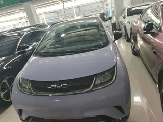 BYD Dolphin 2024 купить из Китая, цена 1 648 000 ₽ — Suifenhe Auto