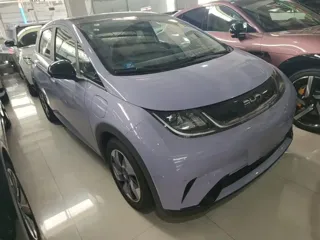 BYD Dolphin 2024 купить из Китая, цена 1 648 000 ₽ — Suifenhe Auto