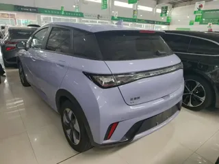 BYD Dolphin 2024 купить из Китая, цена 1 648 000 ₽ — Suifenhe Auto