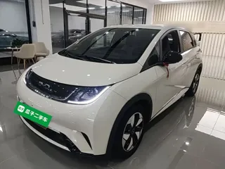 BYD Dolphin 2026 купить из Китая, цена 1 745 000 ₽ — Suifenhe Auto