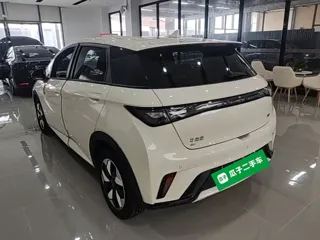 BYD Dolphin 2026 купить из Китая, цена 1 745 000 ₽ — Suifenhe Auto