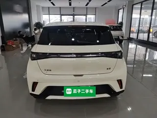 BYD Dolphin 2026 купить из Китая, цена 1 745 000 ₽ — Suifenhe Auto