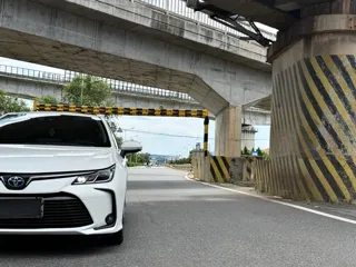 Toyota Corolla 2023 купить из Китая, цена 1 614 000 ₽ — Suifenhe Auto