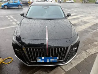 Hongqi H5 2024 купить из Китая, цена 3 182 000 ₽ — Suifenhe Auto