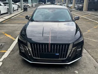Hongqi H5 2024 купить из Китая, цена 3 030 000 ₽ — Suifenhe Auto