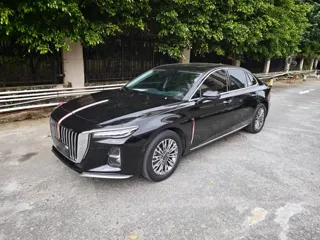 Hongqi H5 2024 купить из Китая, цена 2 949 000 ₽ — Suifenhe Auto