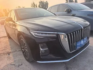 Hongqi H5 2024 купить из Китая, цена 2 948 000 ₽ — Suifenhe Auto