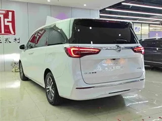Buick GL8 2024 купить из Китая, цена 5 347 000 ₽ — Suifenhe Auto