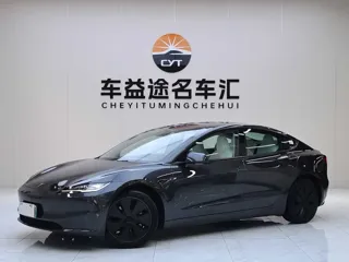 Tesla Model 3 2025 купить из Китая, цена 4 931 000 ₽ — Suifenhe Auto