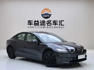 Tesla Model 3 2025 купить из Китая, цена 4 931 000 ₽ — Suifenhe Auto
