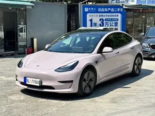 Tesla Model 3 2021 купить из Китая, цена 4 571 000 ₽ — Suifenhe Auto