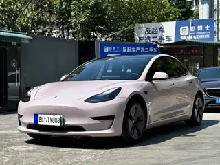 Tesla Model 3 2021 купить из Китая, цена 4 571 000 ₽ — Suifenhe Auto