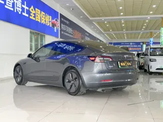 Tesla Model 3 2021 купить из Китая, цена 4 292 000 ₽ — Suifenhe Auto
