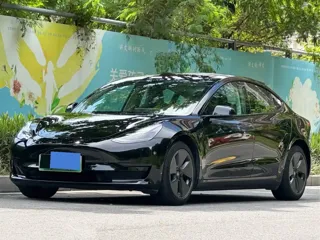 Tesla Model 3 2022 купить из Китая, цена 4 364 000 ₽ — Suifenhe Auto