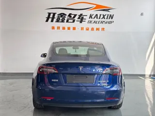 Tesla Model 3 2021 купить из Китая, цена 4 037 000 ₽ — Suifenhe Auto
