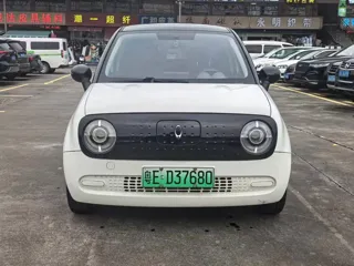 ORA Black Cat 2021 купить из Китая, цена 931 000 ₽ — Suifenhe Auto