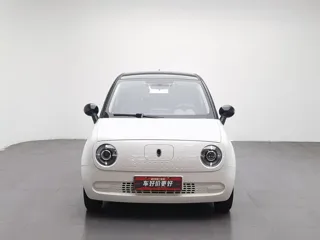 ORA Black Cat 2020 купить из Китая, цена 931 000 ₽ — Suifenhe Auto