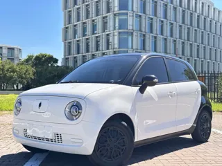ORA Black Cat 2021 купить из Китая, цена 985 000 ₽ — Suifenhe Auto