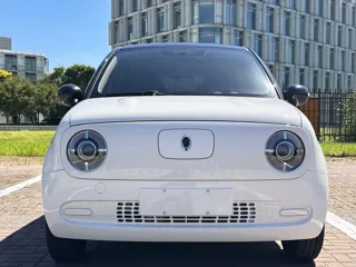 ORA Black Cat 2021 купить из Китая, цена 985 000 ₽ — Suifenhe Auto