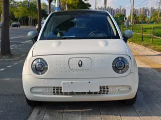 ORA Black Cat 2021 купить из Китая, цена 931 000 ₽ — Suifenhe Auto