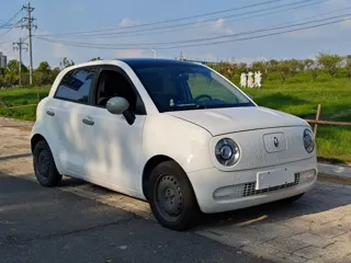 ORA Black Cat 2021 купить из Китая, цена 931 000 ₽ — Suifenhe Auto