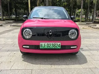 ORA Black Cat 2021 купить из Китая, цена 1 040 000 ₽ — Suifenhe Auto
