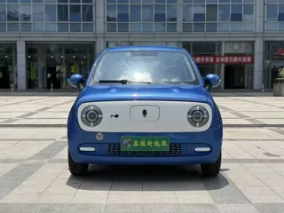 ORA Black Cat 2019 купить из Китая, цена 894 000 ₽ — Suifenhe Auto
