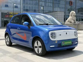 ORA Black Cat 2019 купить из Китая, цена 894 000 ₽ — Suifenhe Auto