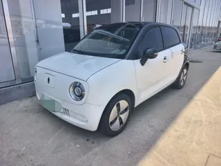 ORA Black Cat 2020 купить из Китая, цена 913 000 ₽ — Suifenhe Auto