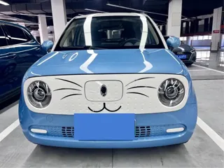 ORA Black Cat 2021 купить из Китая, цена 882 000 ₽ — Suifenhe Auto