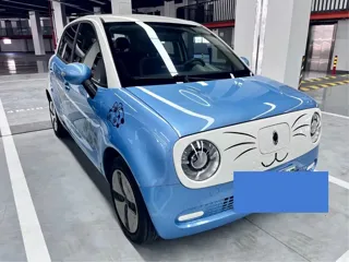 ORA Black Cat 2021 купить из Китая, цена 882 000 ₽ — Suifenhe Auto