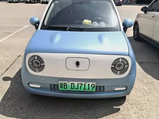 ORA Black Cat 2020 купить из Китая, цена 873 000 ₽ — Suifenhe Auto