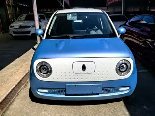 ORA Black Cat 2020 купить из Китая, цена 913 000 ₽ — Suifenhe Auto
