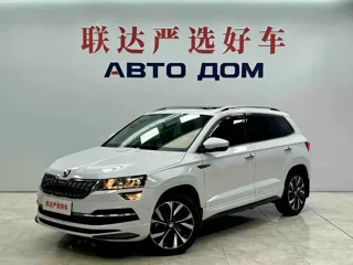 Skoda Karoq 2024