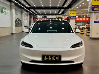 Tesla Model 3 2024 купить из Китая, цена 4 953 000 ₽ — Suifenhe Auto