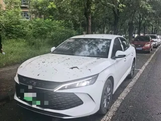 BYD Qin L 2024 купить из Китая, цена 2 487 000 ₽ — Suifenhe Auto