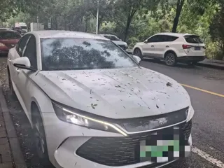 BYD Qin L 2024 купить из Китая, цена 2 487 000 ₽ — Suifenhe Auto
