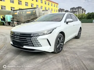 BYD Destroyer 05 2024
