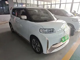ORA White Cat 2021 купить из Китая, цена 1 156 000 ₽ — Suifenhe Auto