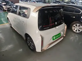 ORA White Cat 2021 купить из Китая, цена 1 156 000 ₽ — Suifenhe Auto
