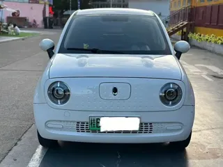ORA Black Cat 2020 купить из Китая, цена 971 000 ₽ — Suifenhe Auto