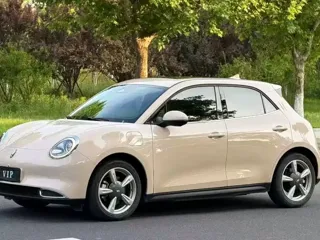 ORA Good Cat 2021 купить из Китая, цена 1 240 000 ₽ — Suifenhe Auto