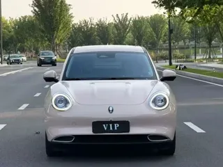 ORA Good Cat 2021 купить из Китая, цена 1 240 000 ₽ — Suifenhe Auto