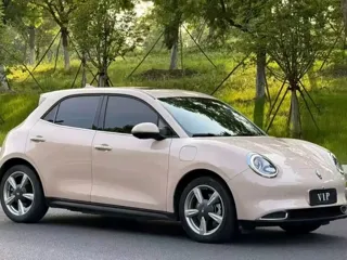 ORA Good Cat 2021 купить из Китая, цена 1 240 000 ₽ — Suifenhe Auto