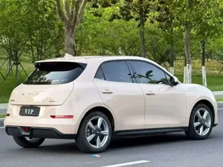 ORA Good Cat 2021 купить из Китая, цена 1 240 000 ₽ — Suifenhe Auto