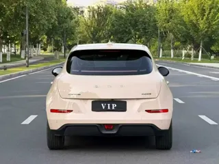 ORA Good Cat 2021 купить из Китая, цена 1 240 000 ₽ — Suifenhe Auto