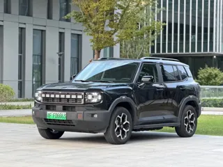Jetour Shanhai T1 2024